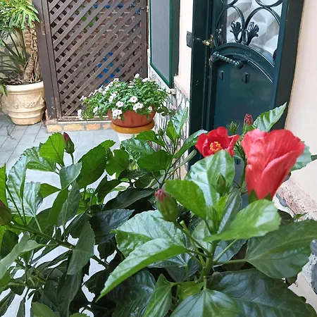 Casa Da Luisa Pompeja